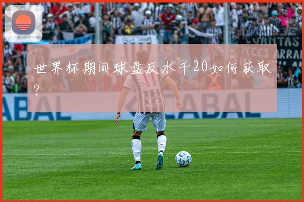 世界杯期间球盘反水千20如何获取？