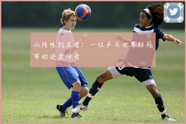 从陪练到王者：一位乒乓世界杯冠军的逆袭传奇