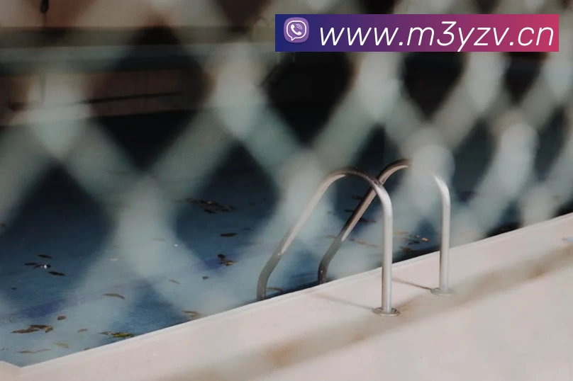 App Interface Preview