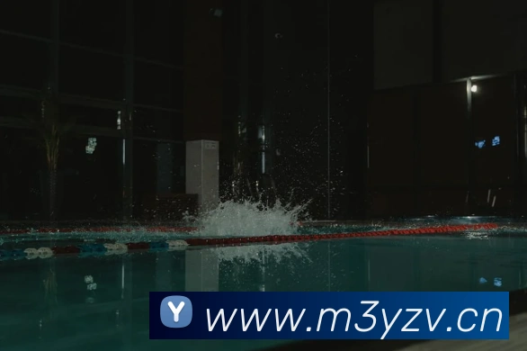 leyu乐鱼网页版在线登录APP 封面图